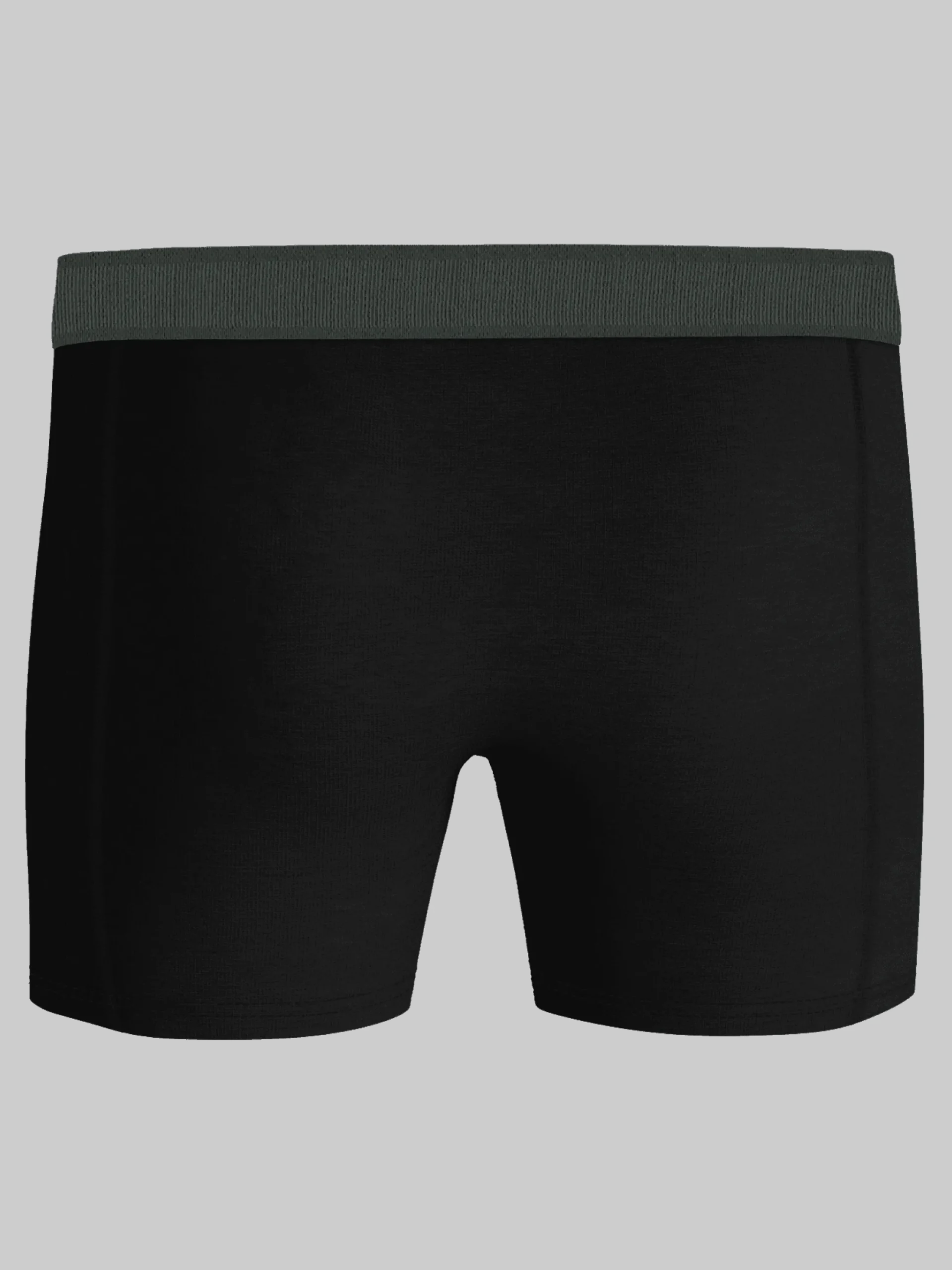 Organic Cotton Stretch Boxers 2-pack
