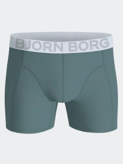 Organic Cotton Stretch Boxers 2-pack