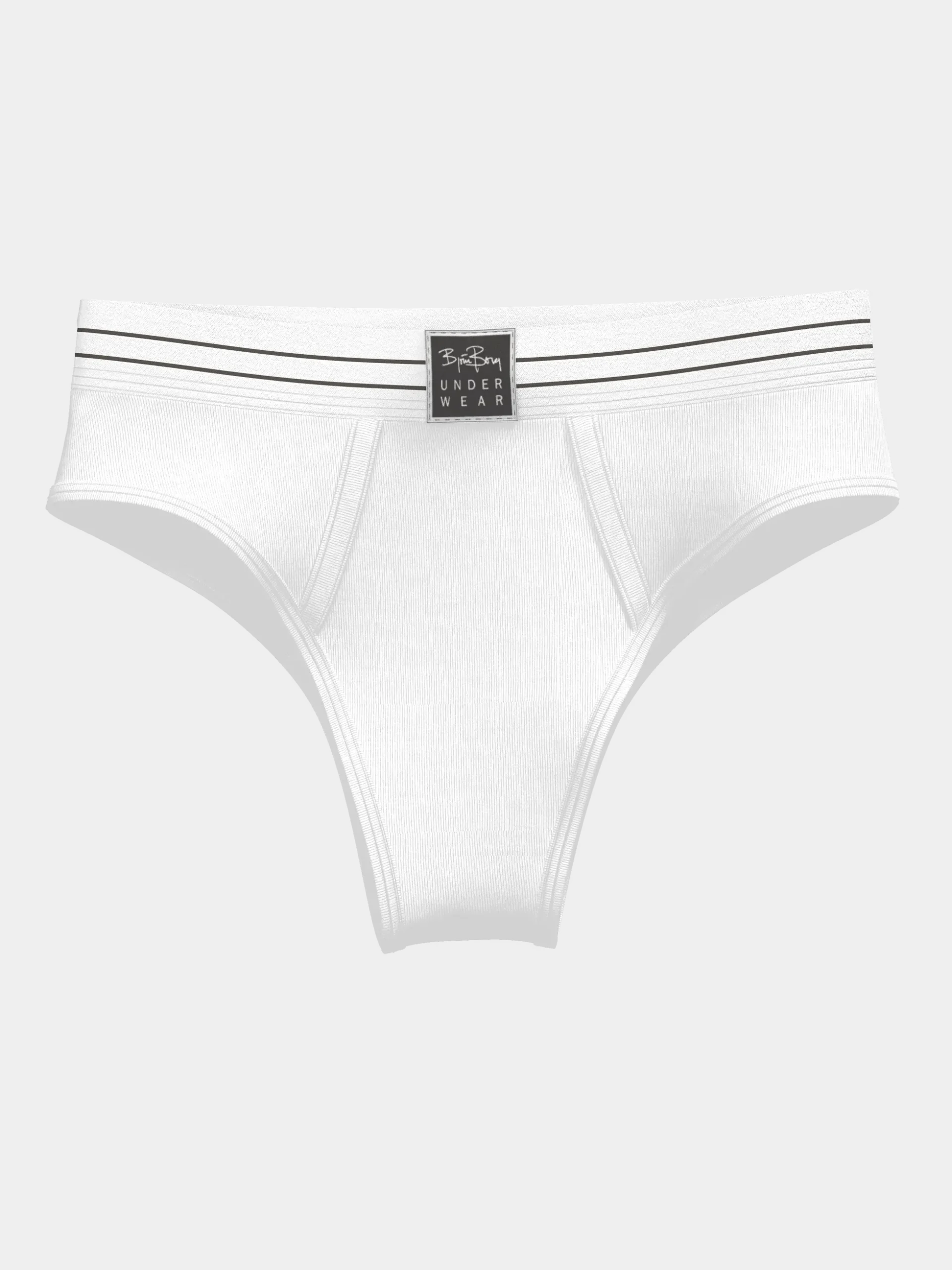 Original Highwaist Briefs 2-pack